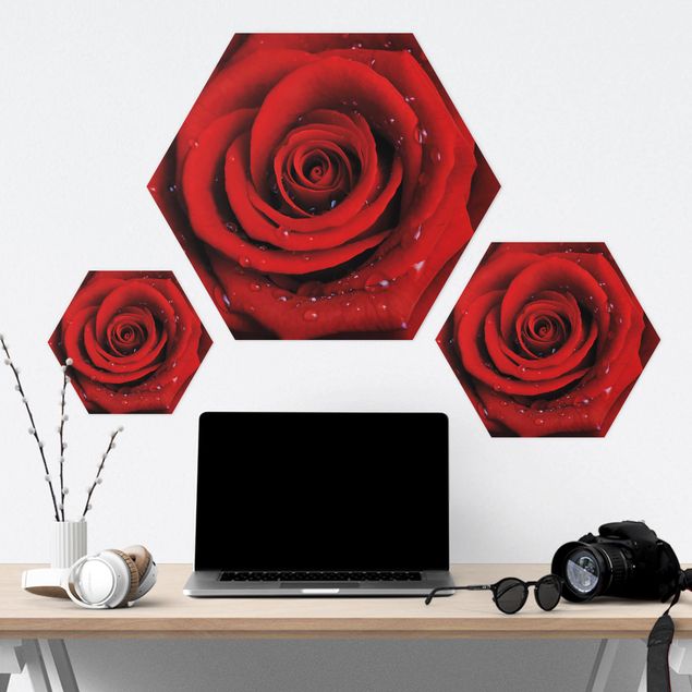 Hexagone en alu Dibond - Red Rose With Water Drops