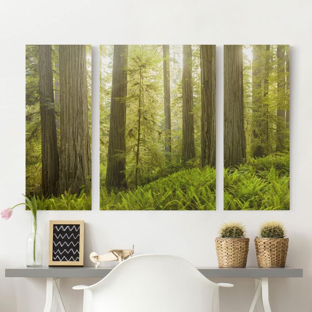 Impression sur toile 3 parties - Redwood State Park Forest View