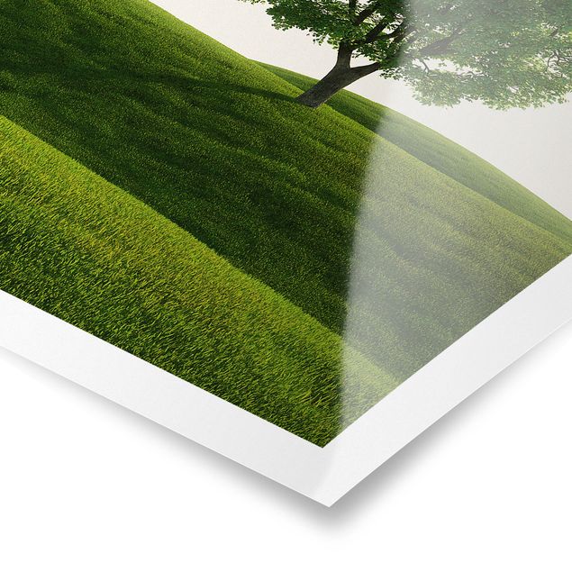 Poster paysage Tranquillité verte