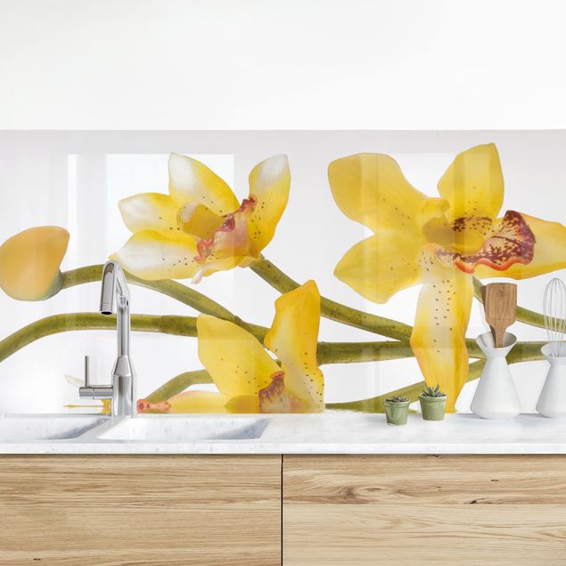 Déco mur cuisine Eaux d'orchidées safranées