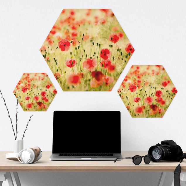 Tableau hexagon Coquelicots d'été