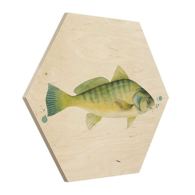 Hexagone en bois - Color Catch - Perch