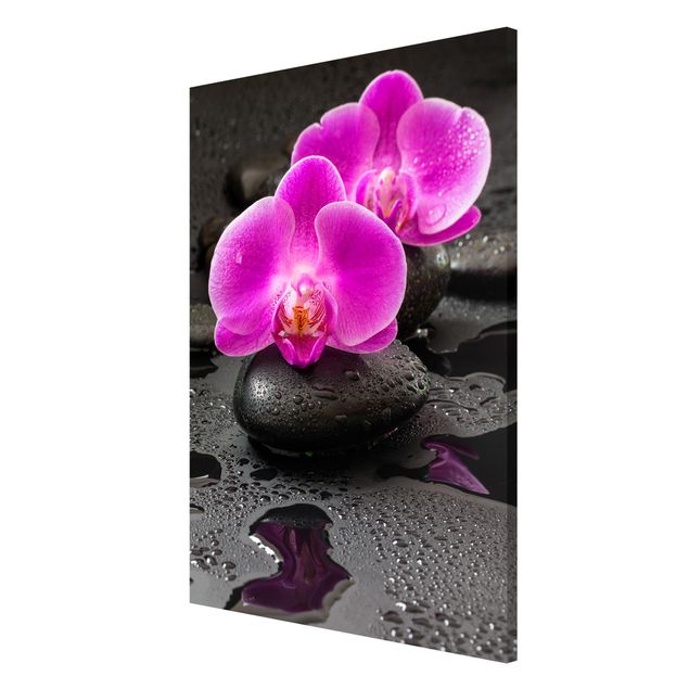 Tableaux magnétiques avec fleurs Fleur Orchidée Rose sur Pierres avec Gouttes