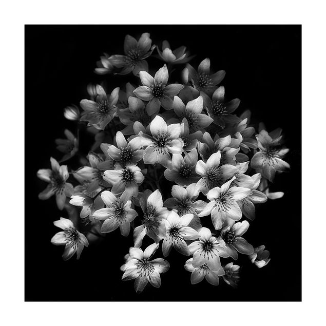 Tapis floraux Bouquet de clématites foncé