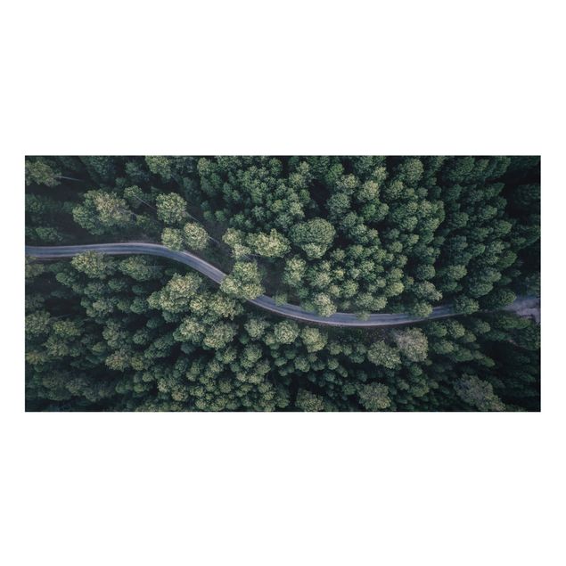 Fond de hotte - Aerial View - Forest Road From The Top