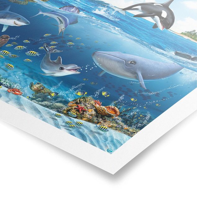 Poster animaux Animal Club International - Underwater World With Animals