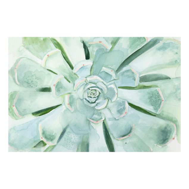 Fond de hotte - Succulent Watercolor Bright
