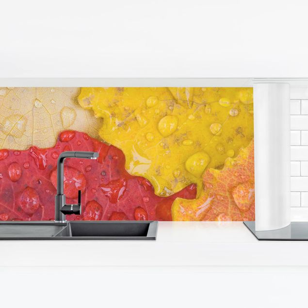 Tableaux de Rainer Mirau Gouttes d'eau sur feuilles colorées