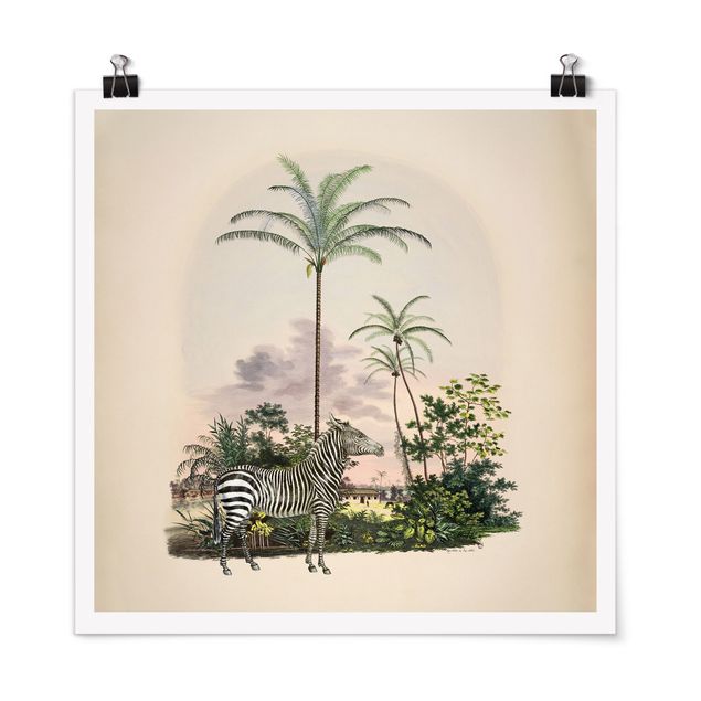Tableaux animaux Illustration de Zèbre Devant Des Palmiers