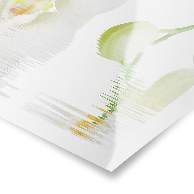Tableau décoration Spa Orchid - Orchidée blanche