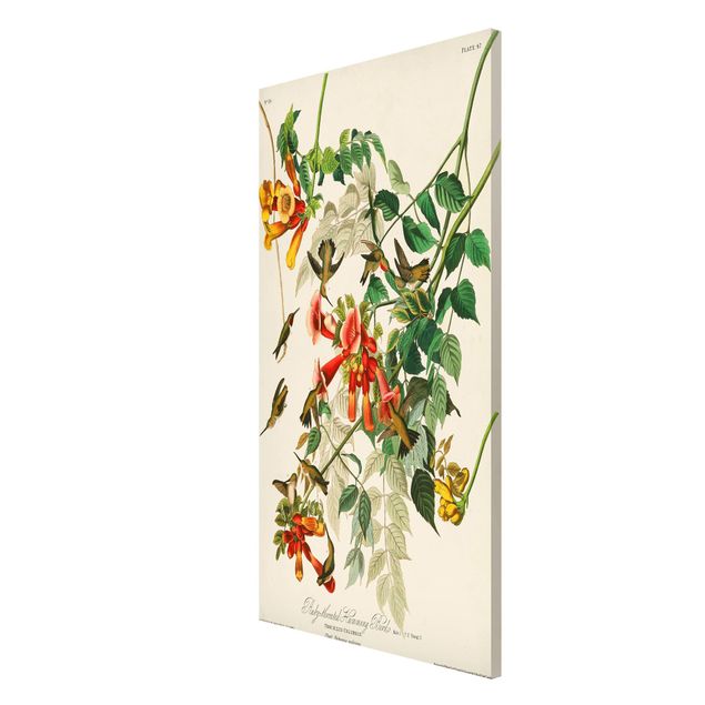 tableaux floraux Tableau Vintage Colibris