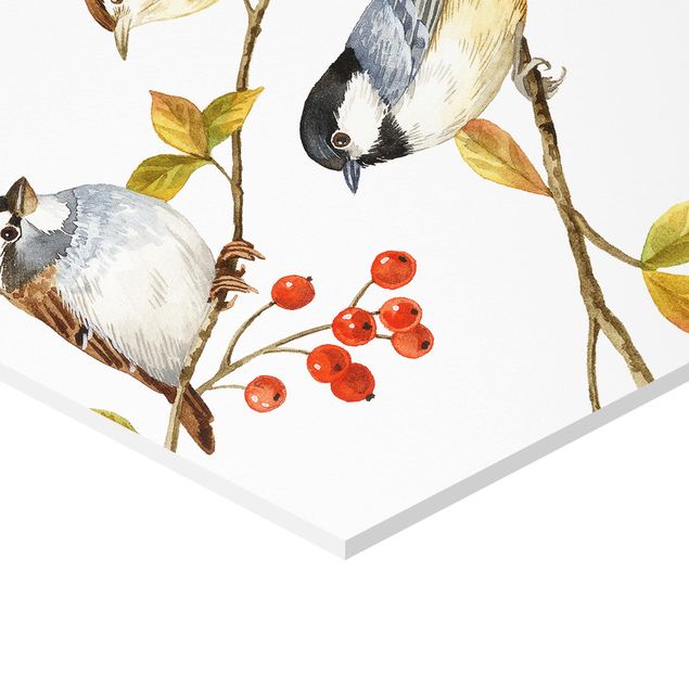 Hexagone en forex - Birds And Berries - Tits
