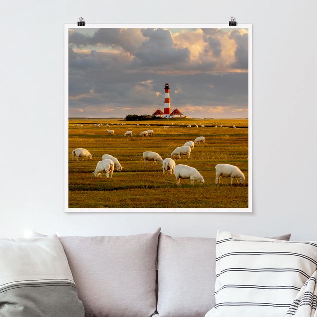 Tableau paysages Phare de la mer du Nord avec un troupeau de moutons