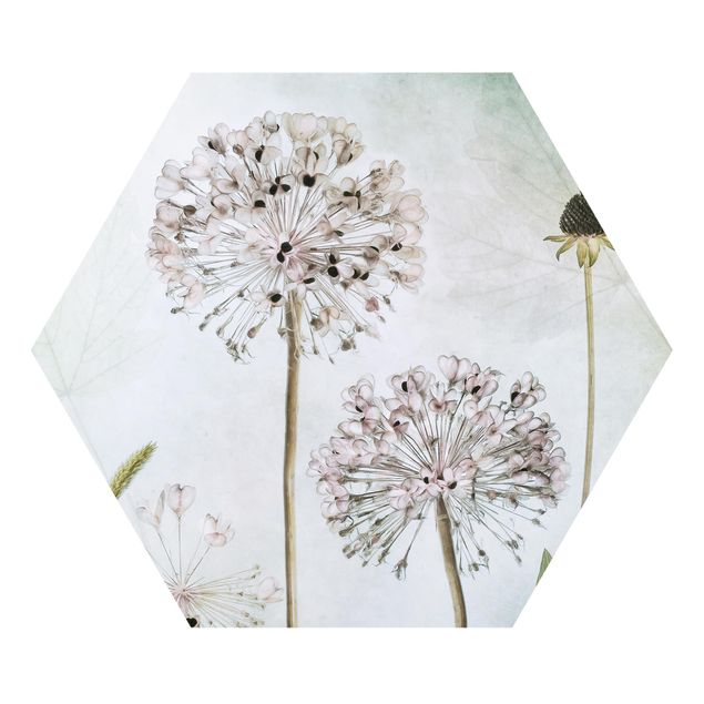 Tableaux forex Fleurs d'Allium au pastel