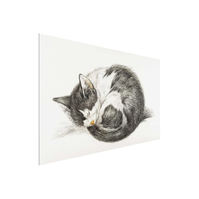 Tableaux animaux Vintage Drawing Cat II