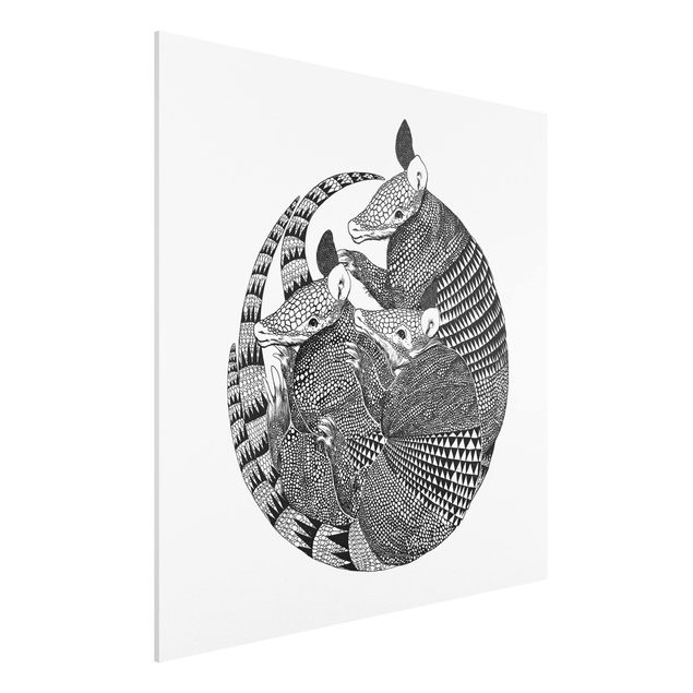 Tableaux moderne Illustration Armadillos Motif Noir et Blanc