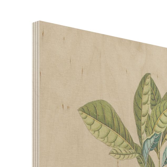 Impression sur bois Illustration botanique vintage Azalea