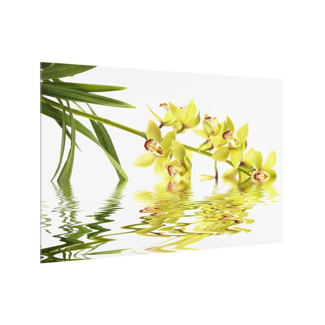 Fonds de hotte Eaux élégantes d'orchidées