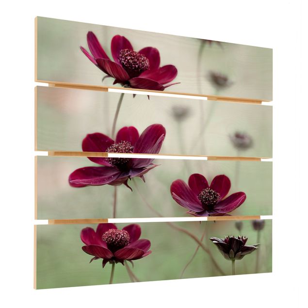 Impression sur bois - Pink Cosmos Flower