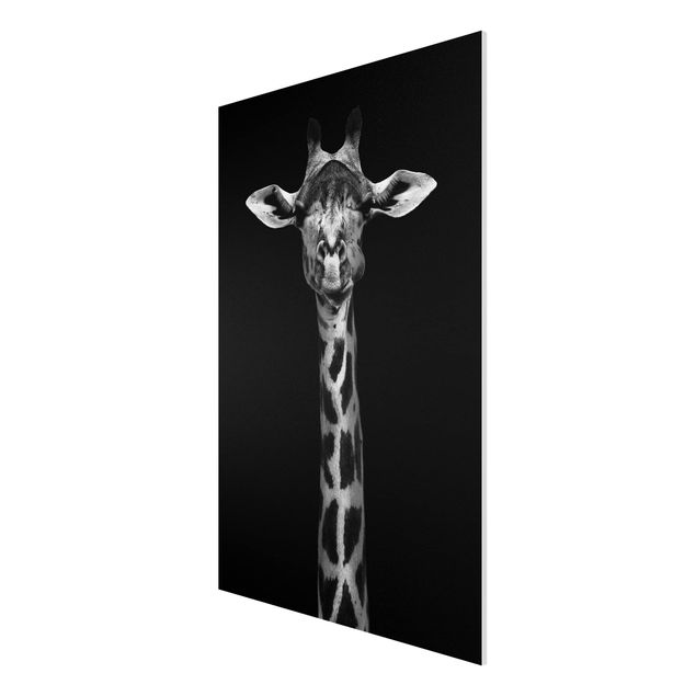 Tableaux modernes Portrait de girafe sombre