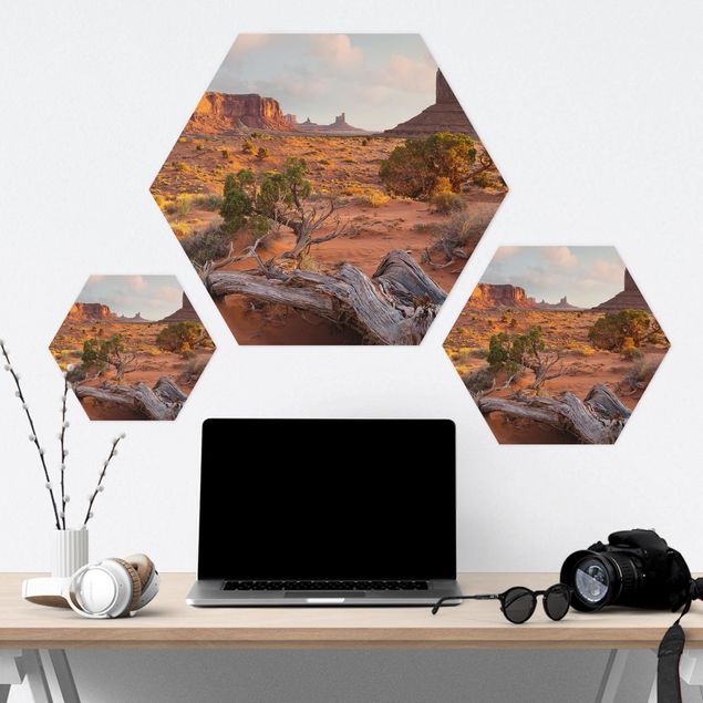 Tableau hexagonal Monument Valley Parc Tribal Navajo Arizona
