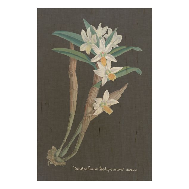 Tableaux en bois avec fleurs Orchidée blanche sur lin I