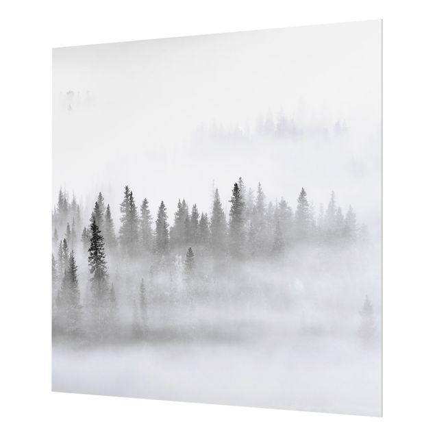 Fonds de hotte - Fog In The Fir Forest Black And White - Carré 1:1