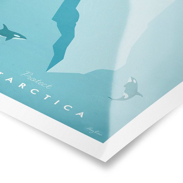 Tableau animaux Poster de voyage - Antarctique