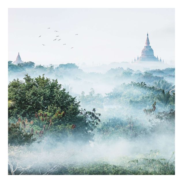 Fonds de hotte - Morning Fog Over The Jungle Of Bagan - Carré 1:1
