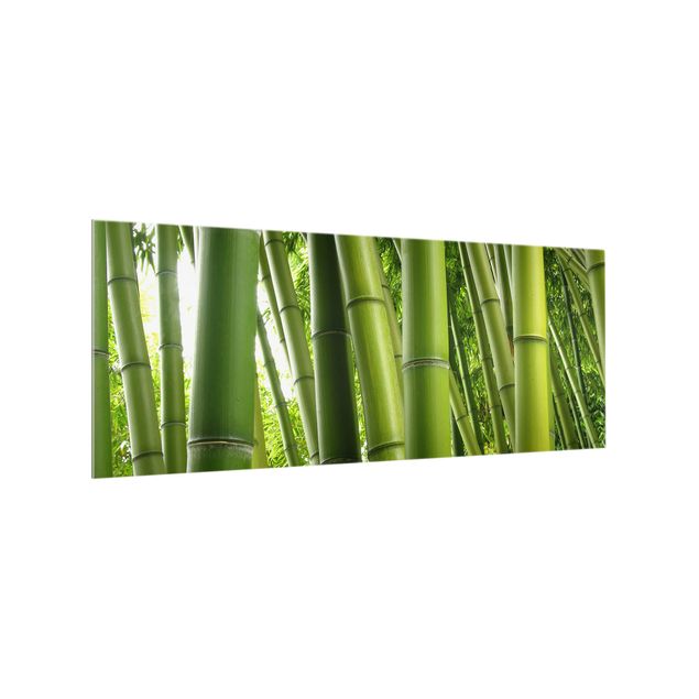 Fond de hotte verre Bamboo Trees