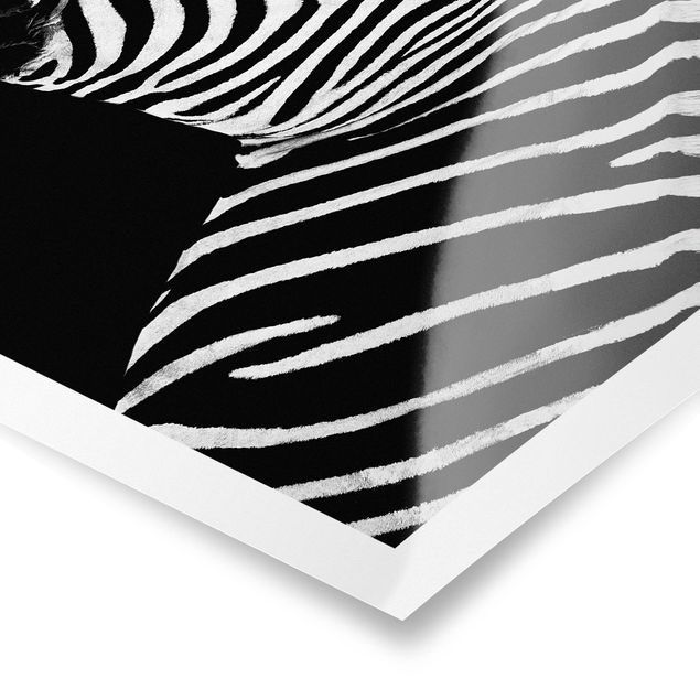 Tableaux noir et blanc Zebra Safari Art
