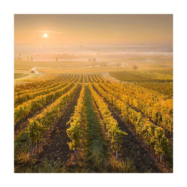 tapis nature Vignobles d'automne près de Vienne