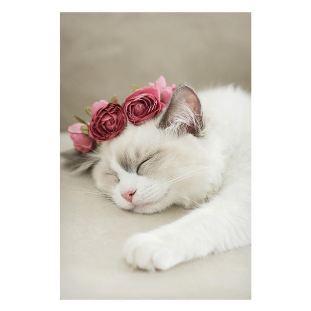 Tableau chat Chat endormi avec des roses
