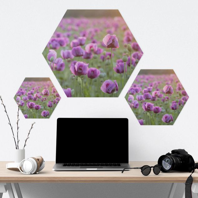 Tableaux muraux Prairie de coquelicots violets au printemps