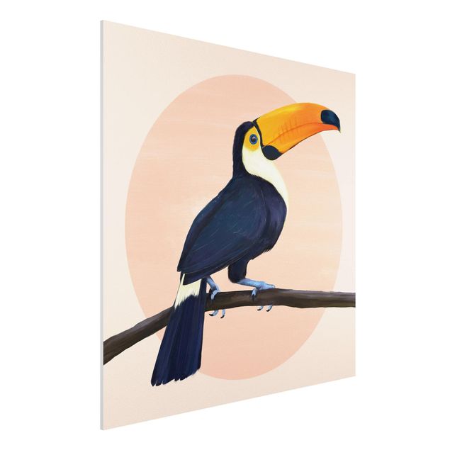 Tableaux moderne Illustration Oiseau Toucan Peinture Pastel