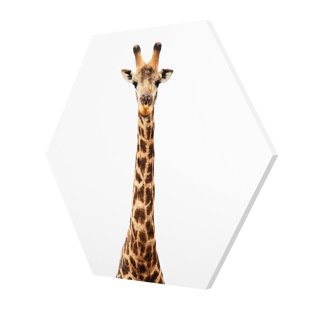 Tableaux Tête de girafe