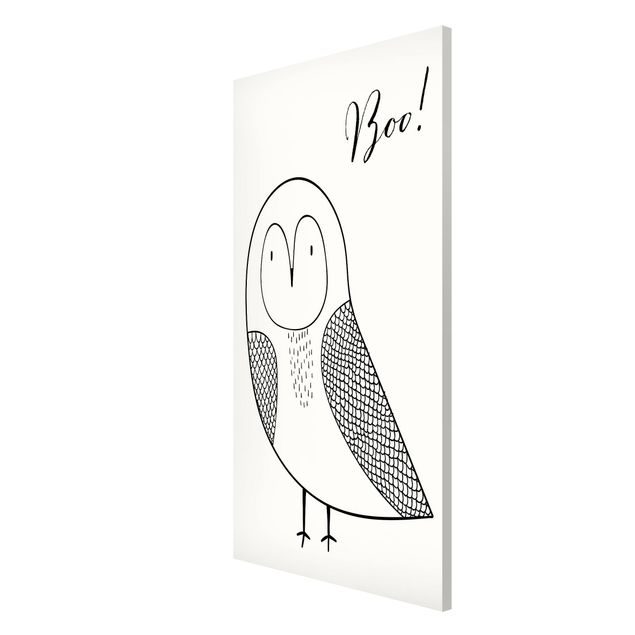 Cadre animaux Hibou dessinant Boo