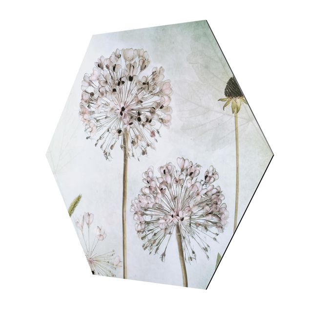 Tableau hexagon Fleurs d'Allium au pastel