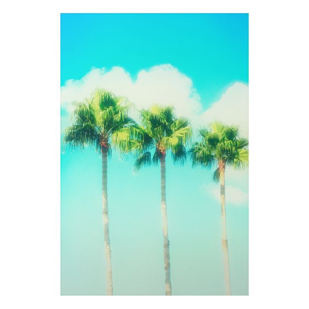 Tableau paysage Palmiers Contre Ciel Bleu