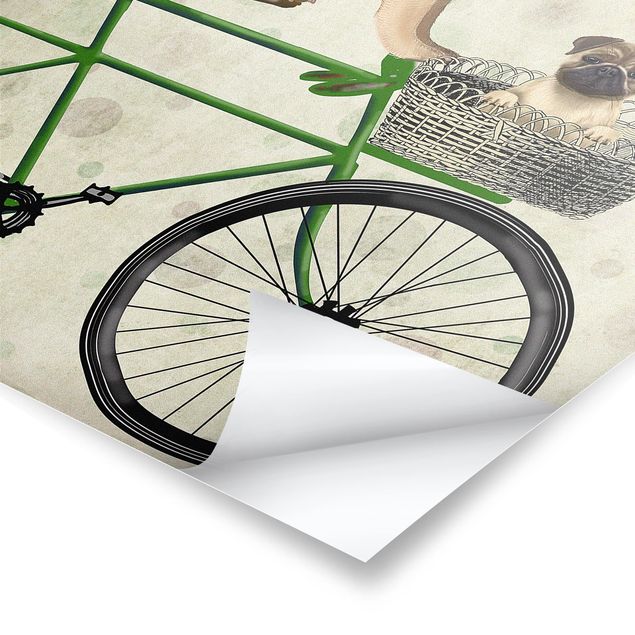 Tableau vert Cyclisme - Carlins à vélo