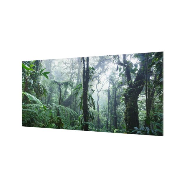 Fond de hotte - Monteverde Cloud Forest - Format paysage 2:1