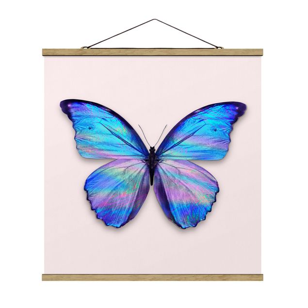 Tableaux moderne Papillon Holographique