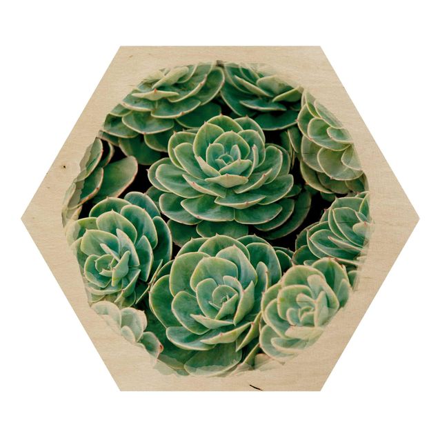 Hexagone en bois - Water Colours - Green Succulents
