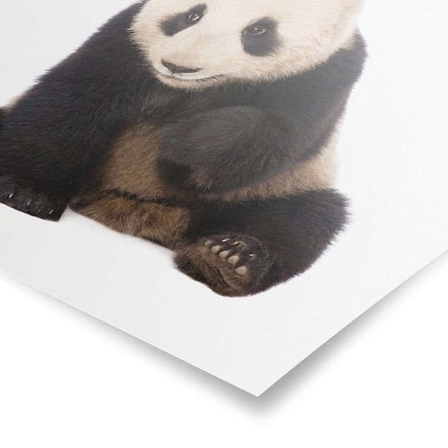 Cadre animaux Pattes de panda