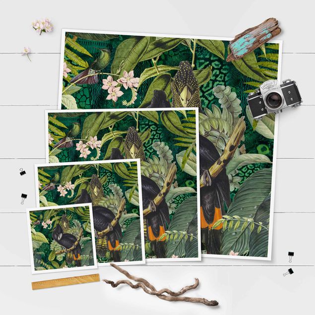 Tableau décoration Collage coloré - Cacatoès dans la jungle