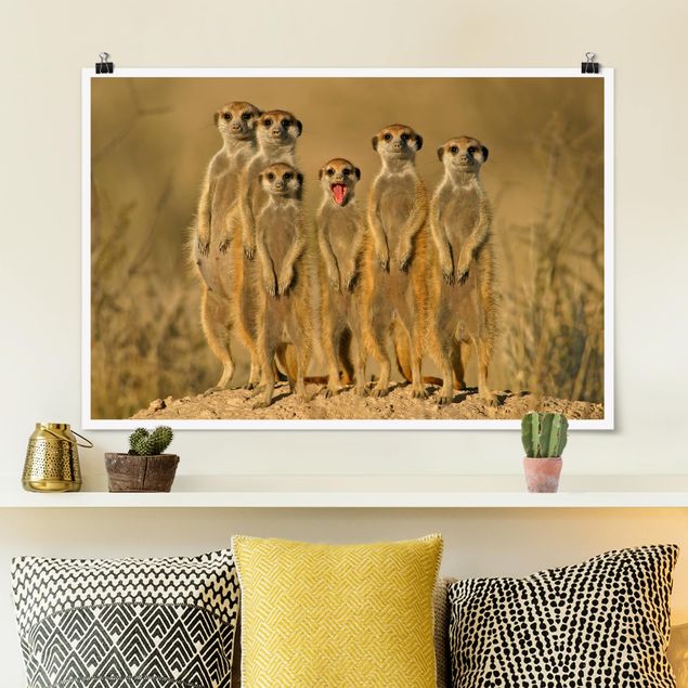 Déco murale cuisine Famille de suricates