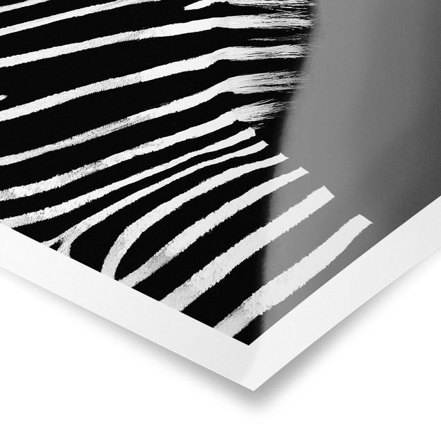 Tableaux noir et blanc Zebra Safari Art