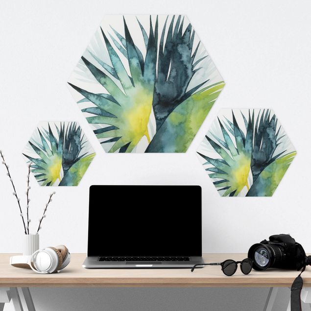 Hexagone en forex - Tropical Foliage - Fan Palm