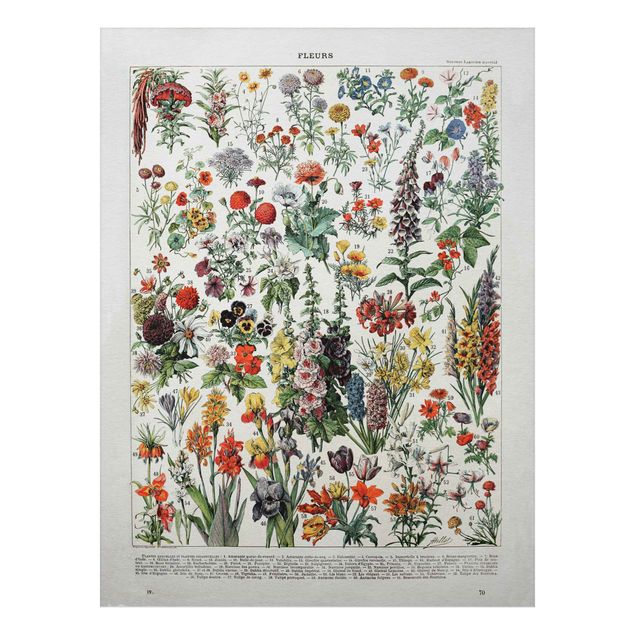 tableaux floraux Tableau Vintage des Fleurs IV