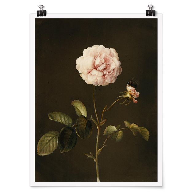 Tableaux fleurs Barbara Regina Dietzsch - Rose française avec Bumblbee